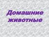 Домашние животные (загадки)