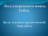 Леса умеренного пояса. Тайга. 5 класс