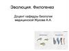 Эволюция. Филогенез