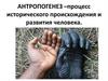 Происхождение человека, антропогенез