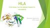 Система гистосовместимости человека HLA (MHC)