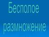 Бесполое размножение. Способы размножения
