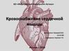 Кровоснабжение сердечной мышцы