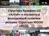Структура Краевого СО «Алтай» и его место в молодежной политике региона. Структура МООО «РСО»
