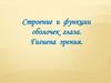 Строение и функции оболочек глаза. Гигиена зрения