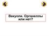 Вакуоли. Органеллы или нет?