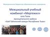 Межшкольный учебный комбинат «Мергежил» с. Тээли муниципального района «Бай-Тайгинский кожуун Республики Тыва»
