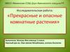 Исследовательская работа: «Прекрасные и опасные комнатные растения»