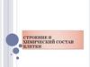 Строение и химический состав клетки