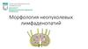 Морфология неопухолевых лимфаденопатий