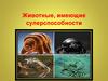 Животные, имеющие суперспособности