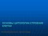 Основы цитологии. Строение клетки. Немембранные органоиды