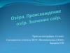 Озёра. Происхождение и значение озёр