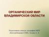 Органический мир Владимирской области