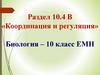 Координация и регуляция