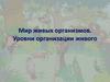 Мир живых организмов. Уровни организации