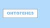Понятие онтогенеза