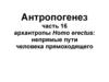 Антропогенез. Архантропы homo erectus: непрямые пути человека прямоходящего