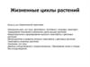 Жизненные циклы растений
