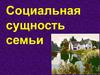 Социальная сущность семьи