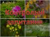 Контрольні запитання. Написати українською назву рослини