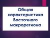 Общая характеристика Восточного макрорегиона