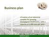 Creation of an industrial complex for growing champignon mushrooms, with a capacity of 2.900 tons per year. Business plan