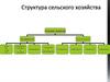 Структура сельского хозяйства в мире