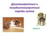 Длинношерстные и полудлинношерстные породы котов