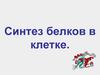 Синтез белков в клетке