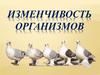 Изменчивость организмов