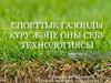 Спорттық газонды құру және оны себу технологиясы