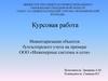 Курсовая работа. Инвентаризация объектов бухгалтерского учета на примере ООО «Инженерные системы и сети»