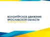 Волонтерское движение Ярославской области