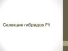 Селекция гибридов F1