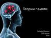Теории памяти
