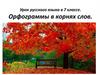 Орфограммы в корнях слов