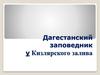 Дагестанский заповедник у Кизлярского залива
