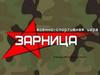 Военно-спортивная игра "Зарница". Команда МБОУ «Школа №167»