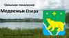 Сельское поселение Медвежьи Озера. Московская область, Щелковский район