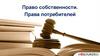 Право собственности. Права потребителей