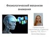 Физиологический механизм внимания