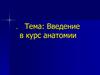 Введение в курс анатомии