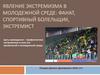 Явление экстремизма в молодежной среде: фанат, спортивный болельщик, экстремист