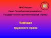 Трудовое право. Анализ эффективности работы с кадрами МЧС России