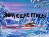 Зимующие птицы