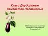 Класс Двудольные. Семейство Пасленовые. 6 класс