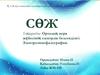 Орталық нерв жүйесінің электрлік белсенділігі. Электроэнцефалография