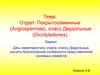 Отдел: Покрытосеменные (Angiospermae), класс Двудольные (Dicotyledones)
