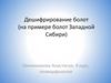 Дешифрирование болот (на примере болот Западной Сибири)